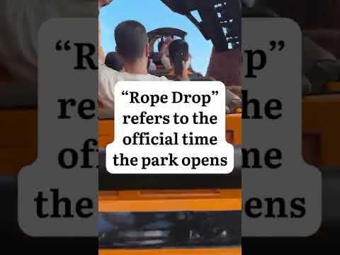 Rope Drop 101 - was this helpful? #disneytips #ropedrop #disney
