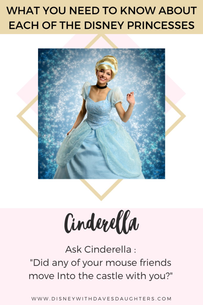 O que precisa de saber sobre cada uma das princesas da Disney