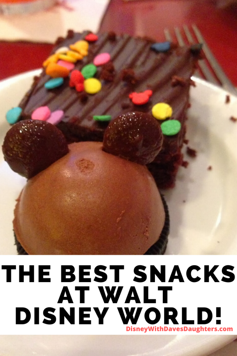 The Best Disney Snacks You Need to Eat! Disney With Dave's Daughters