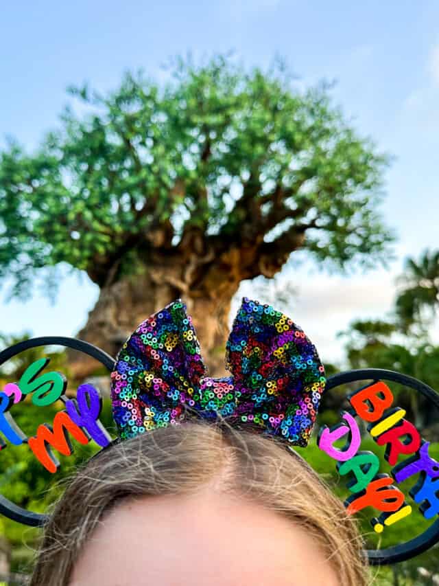Tips to Celebrate Your Birthday at Disney