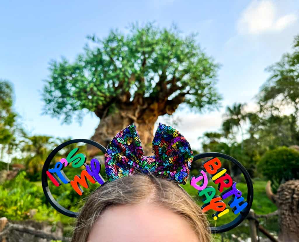 Disney Birthday Ears