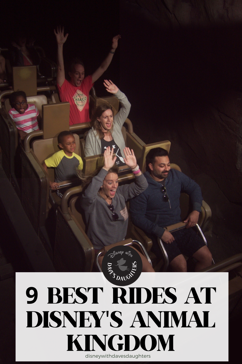 The 9 Best Rides at Animal Kingdom - Disney With Dave's Daughters