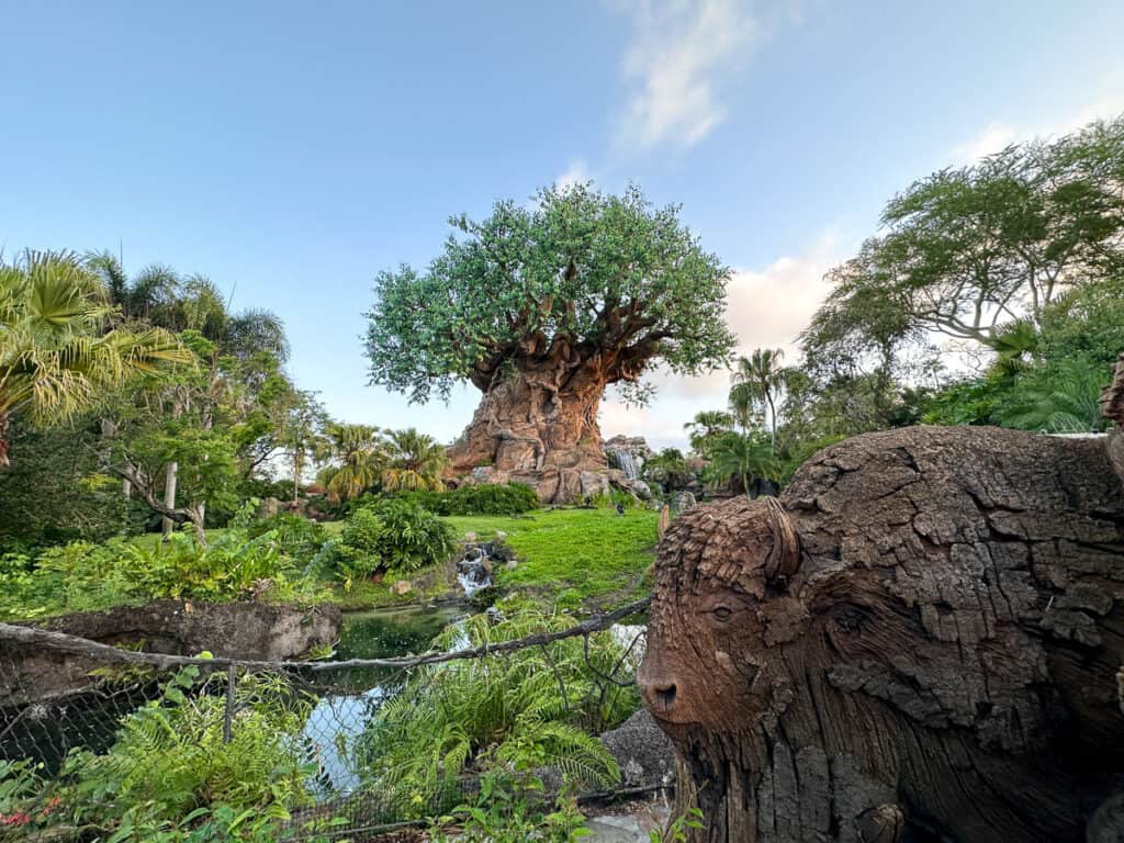 tree of life and buffalo 