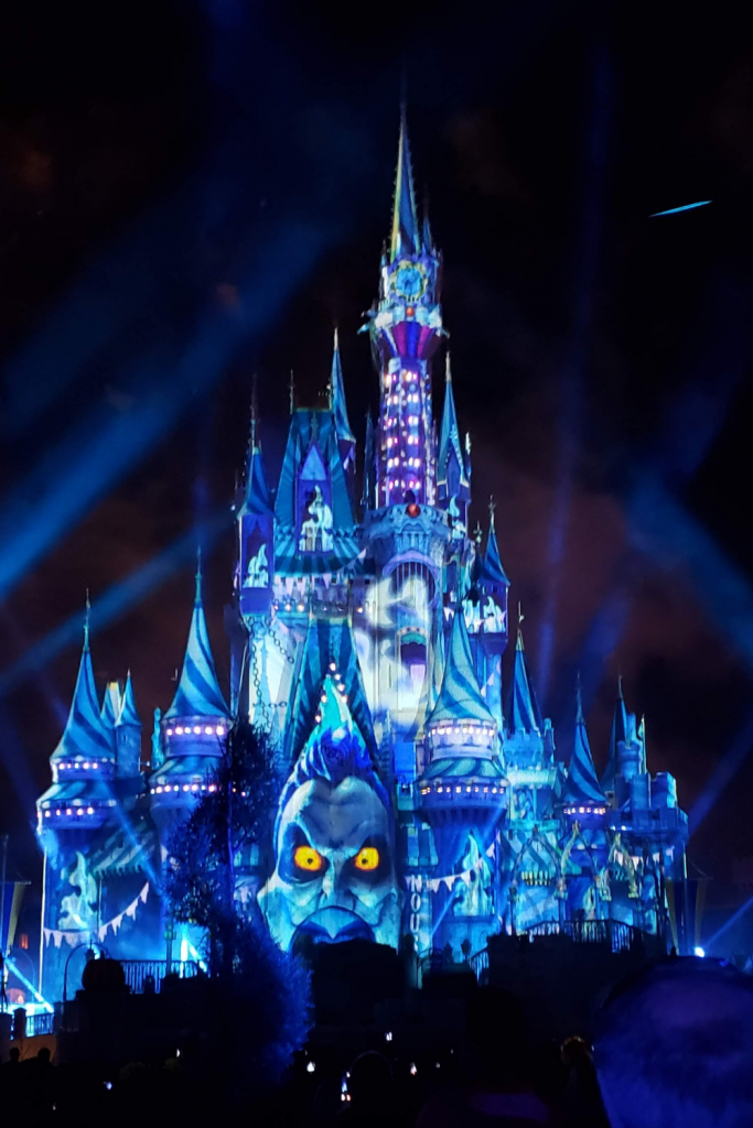 Cinderella Castle villain images