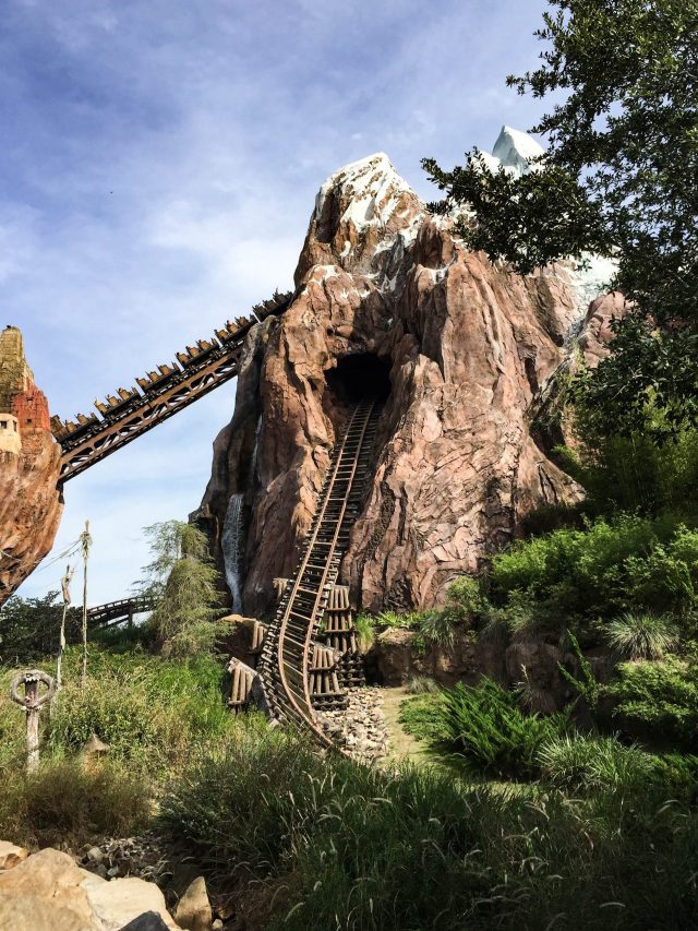 expedition everest attraction at animal kingdom