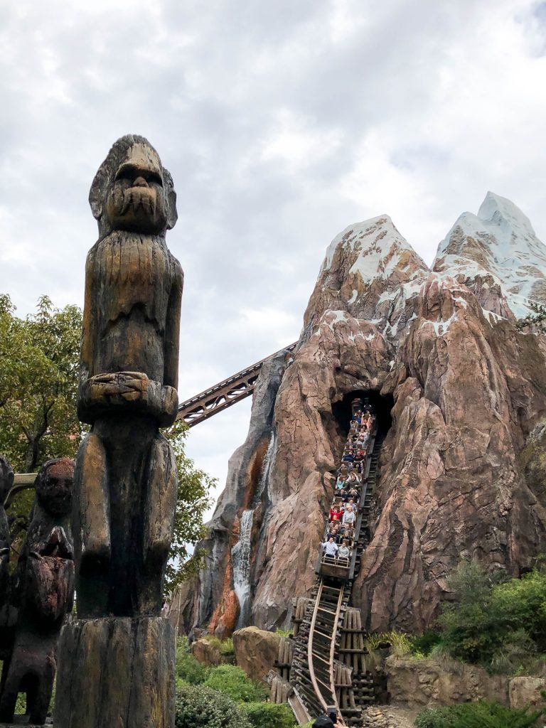 Expedition Everest ride in Disney's Animal Kingdom