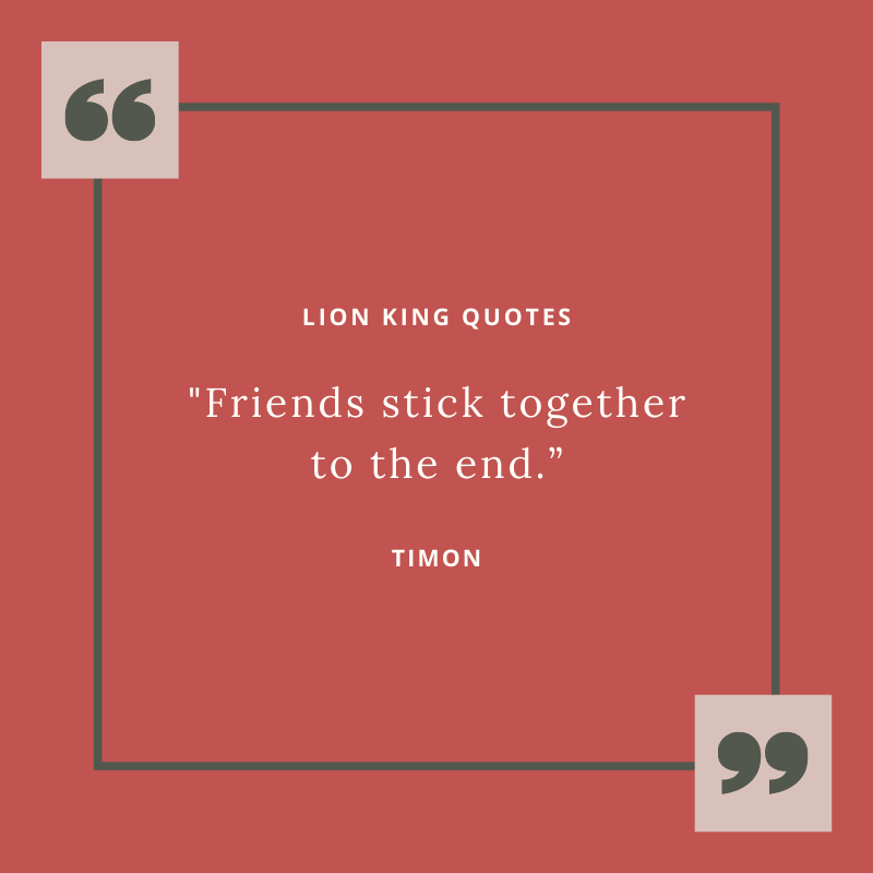 "Friends stick together to the end.” – Timon