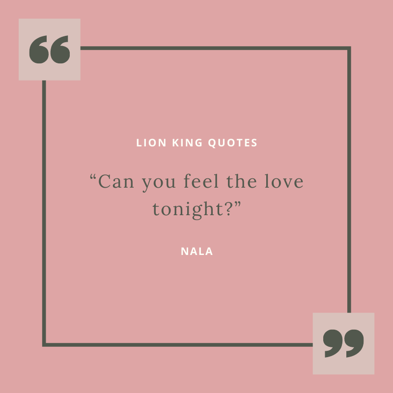 “Can you feel the love tonight?” – Nala
