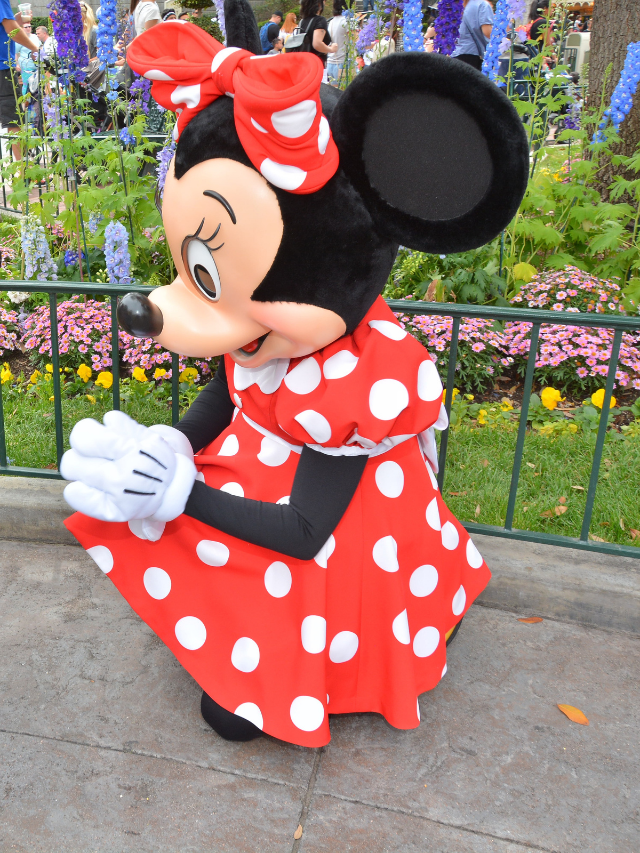 minnie mouse