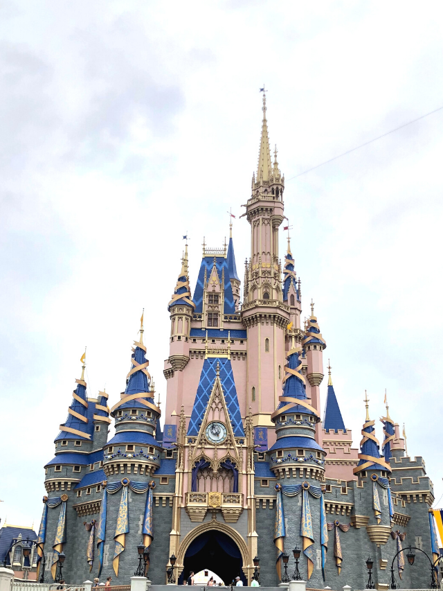 14 Things to Buy Before You Go To Disney