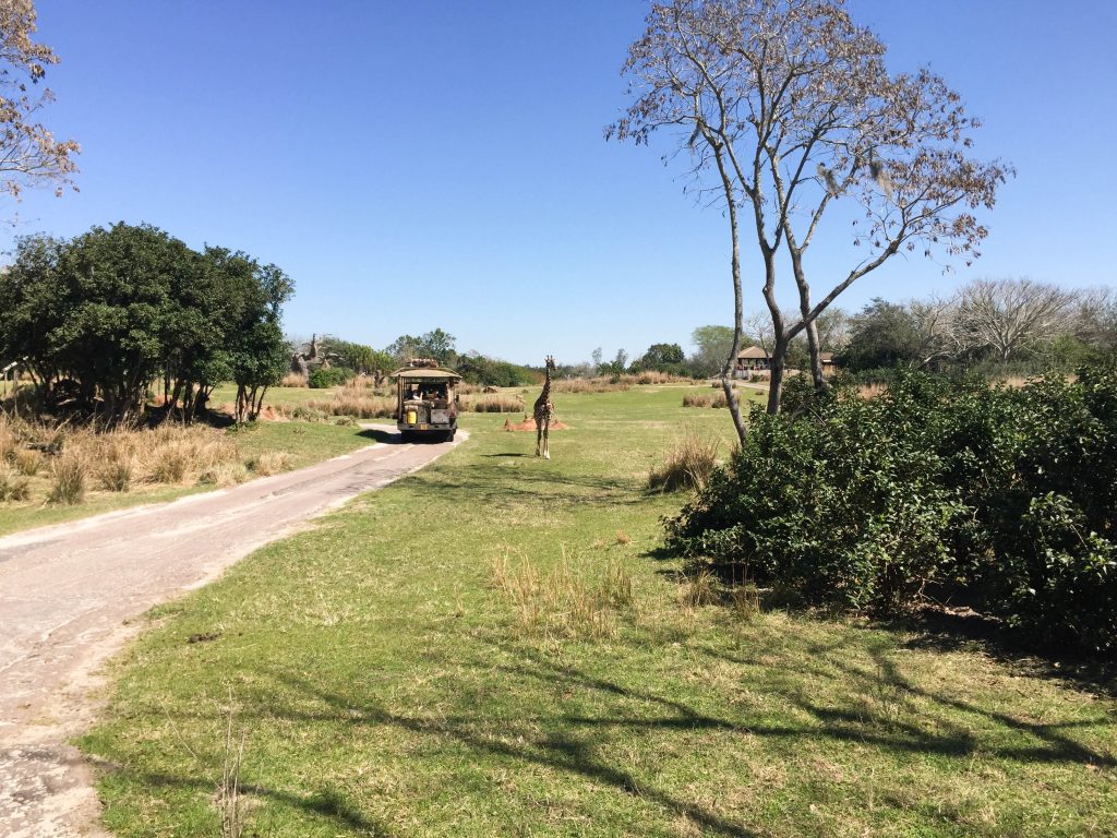 Kilimanjaro safari