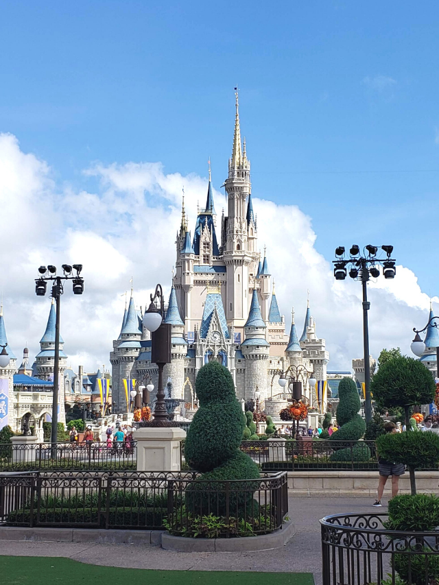 castle magic kingdom