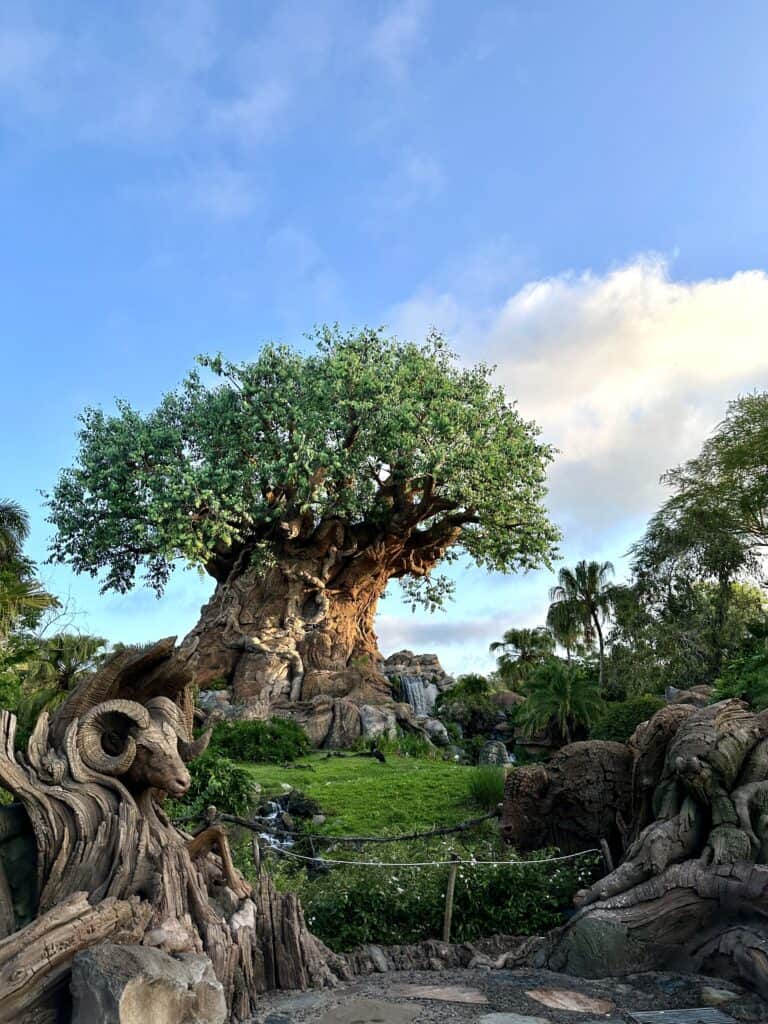 Tree of Life Animal Kingdom