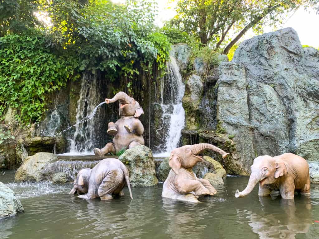 elephants at jungle cruise magic kingdrom