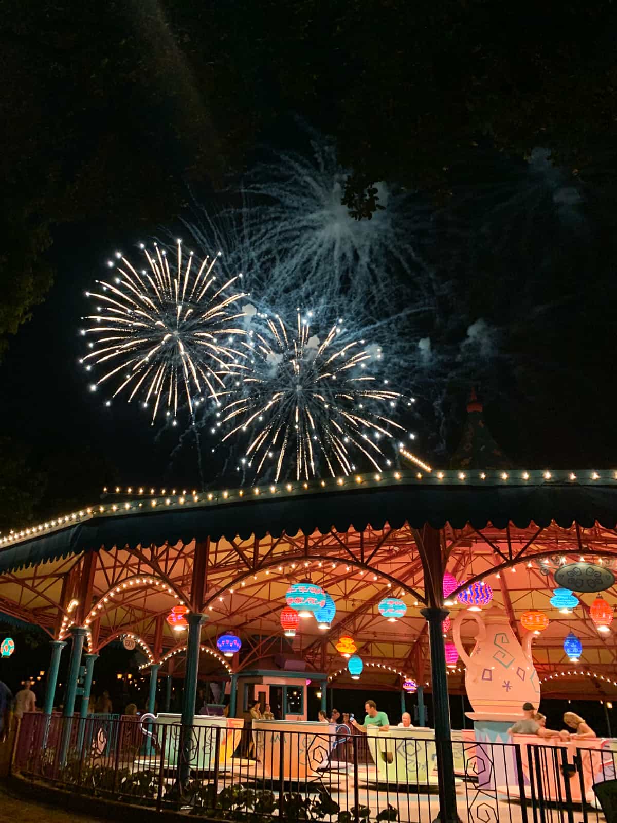 Disney tea cups and fireworks