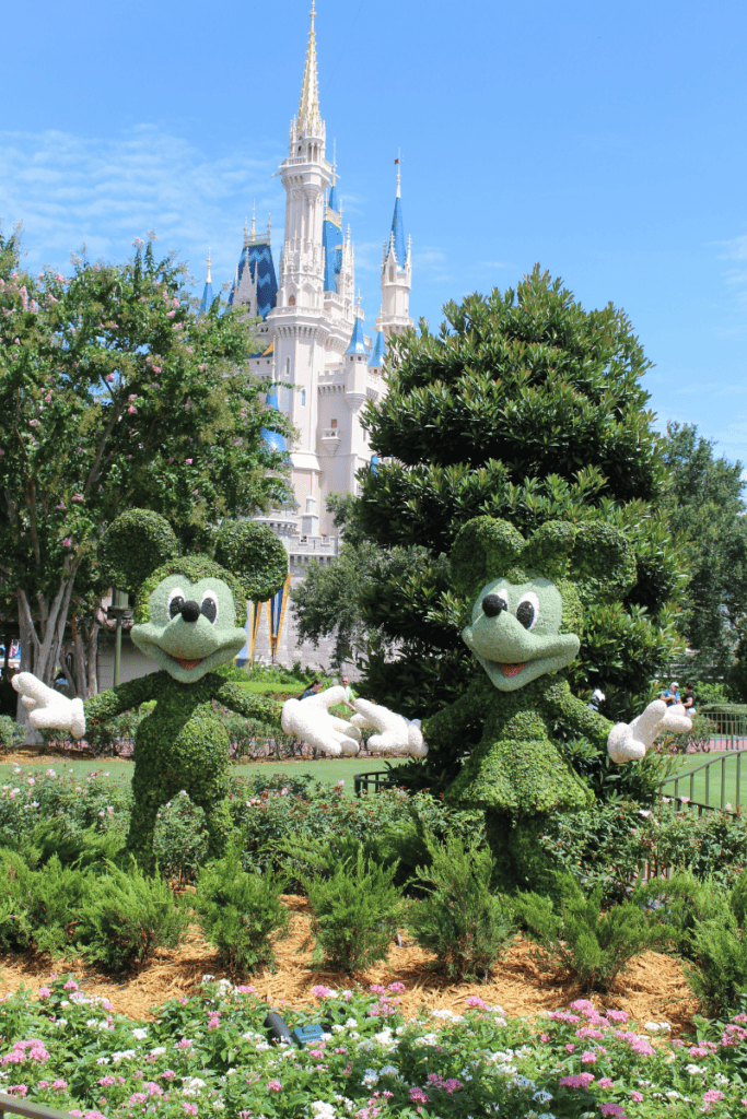 Mickey Mouse and Minnie Mouse topiary