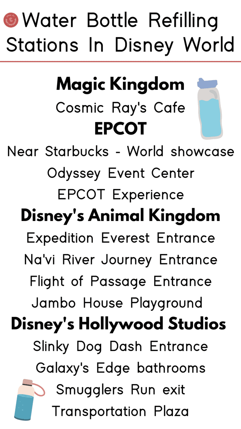 9 Best Water Bottles To Pack For Disney World