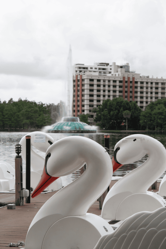 swan boats at Lake Eola Park