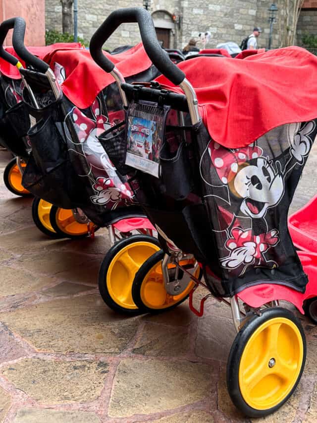 5 Best Tips for Using a Stroller at Disney World