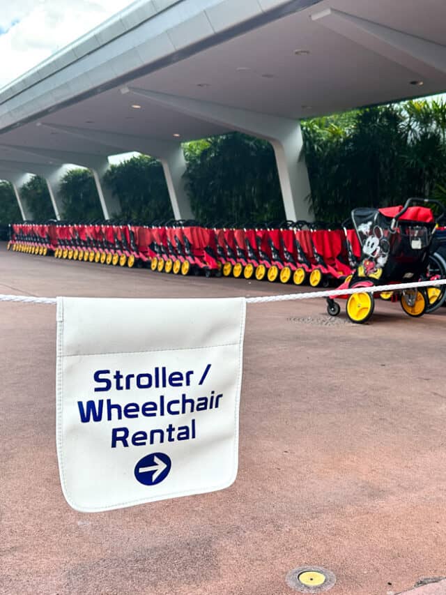 Strollers at Disney World: FAQs