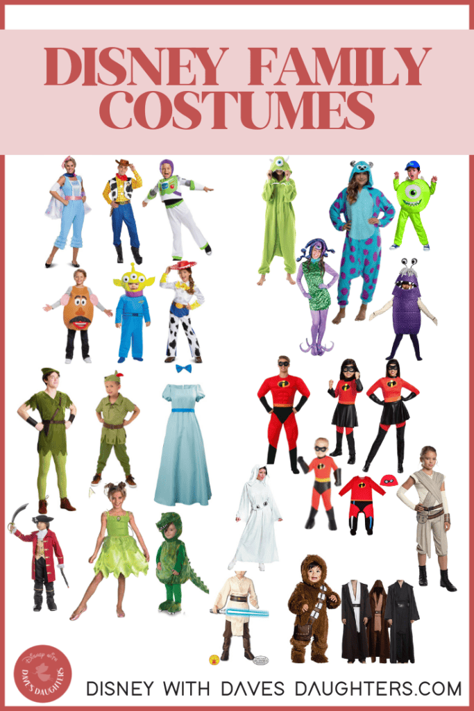 Disney family costumes