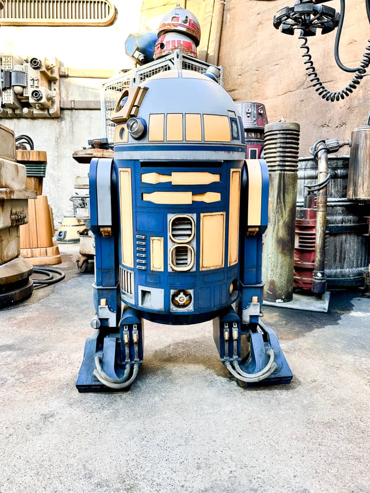 droids at star wars land