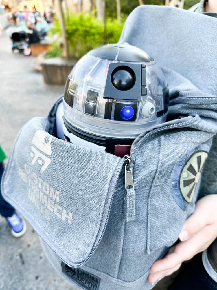 droid in backpack at star wars land