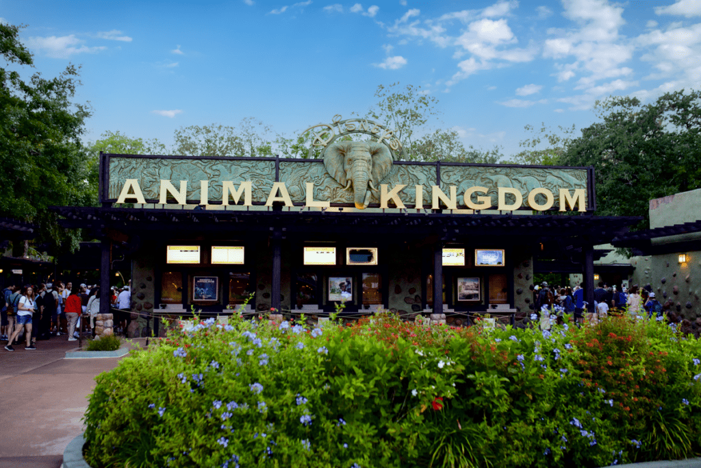 animal kingdom entrance