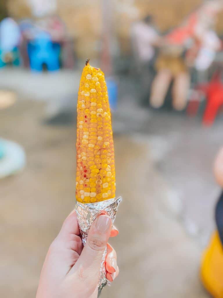 Grilled Street Corn animal kingdom