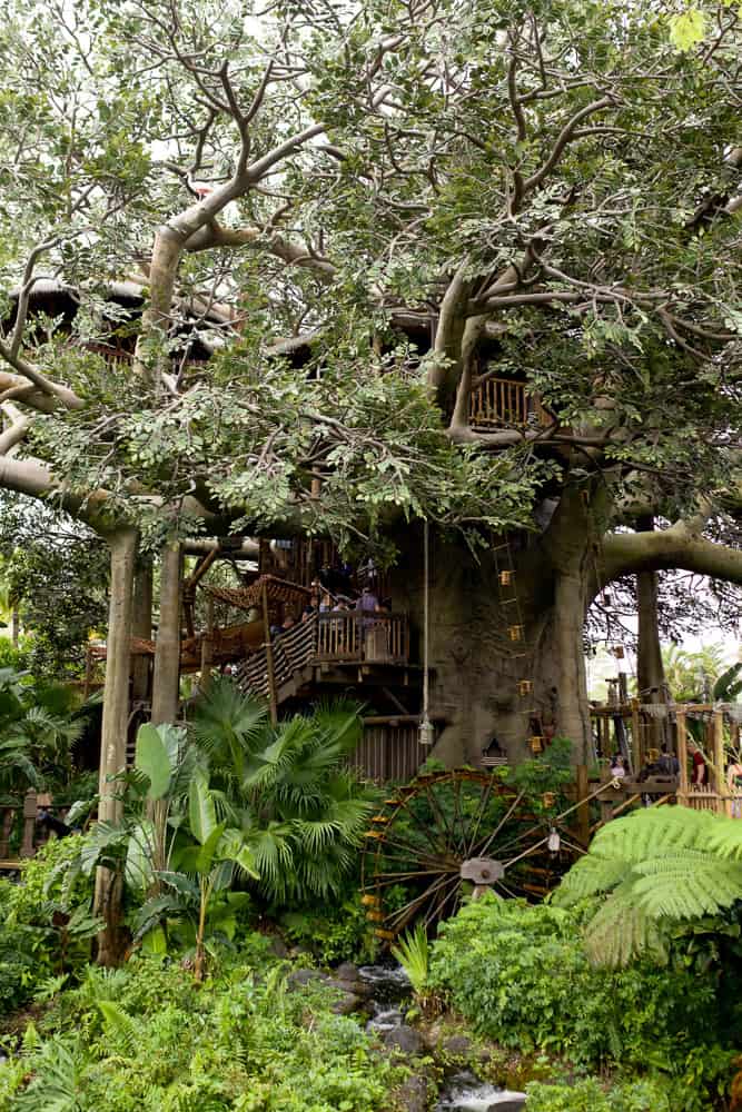 Swiss Family Tree House