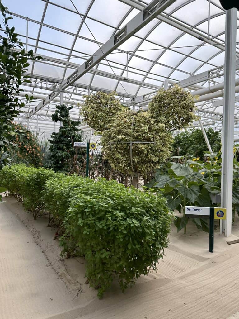 Living With The Land