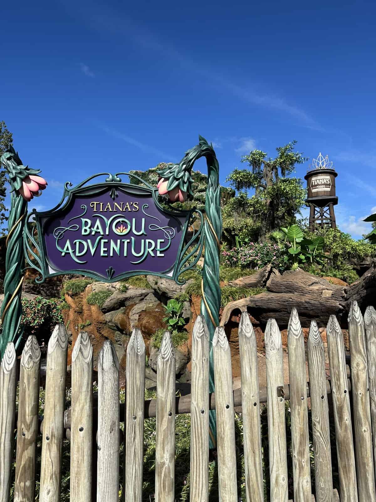 Disney World Water Rides Ranked By How Wet You'll Get