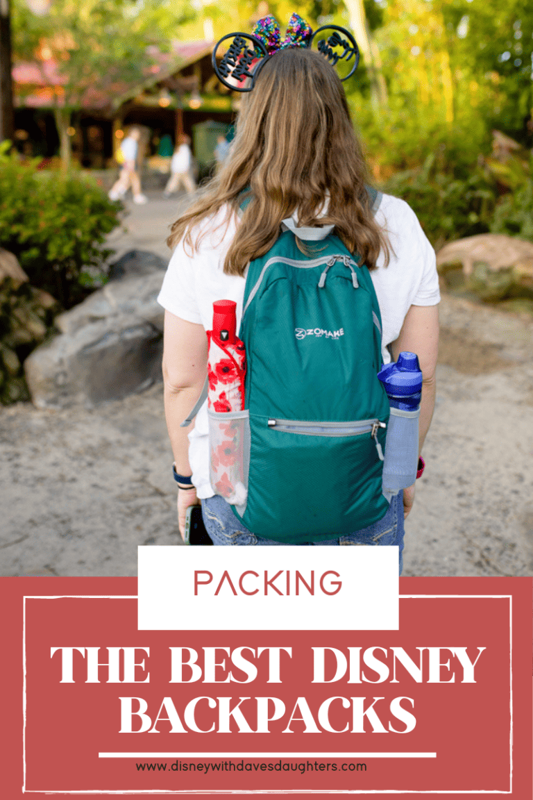 The 13 Best Backpacks for Disney World in 2023