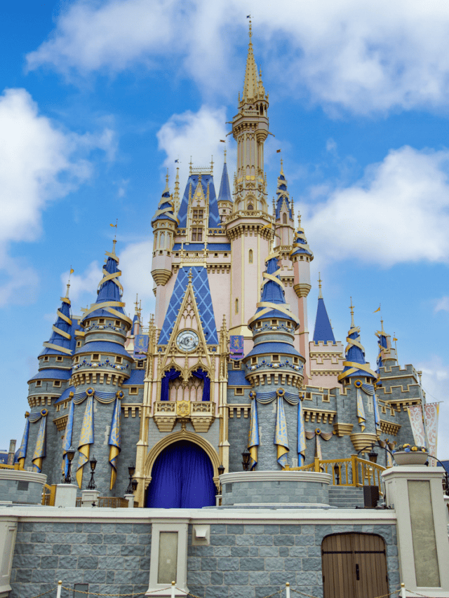 Disney World vs. Disneyland Castles - Disney With Dave's Daughters