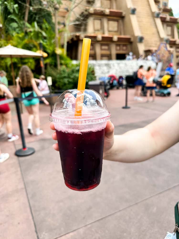 Honey Hibiscus Iced tea EPCOT