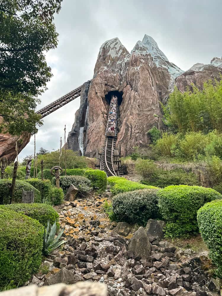Expedition Everest attraction