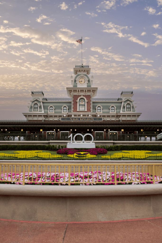 front of magic kingdom