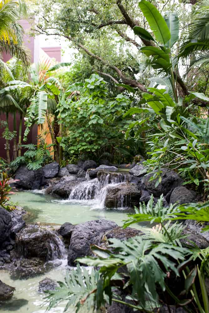 Disney's Polynesian Resort landscaping