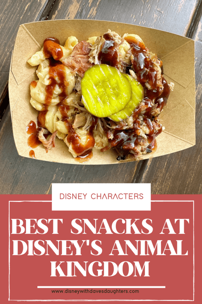 Best snacks at Animal Kingdom