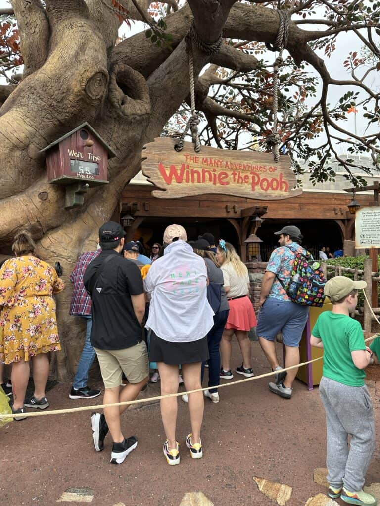 Many Adventures of Winnie the Pooh ride