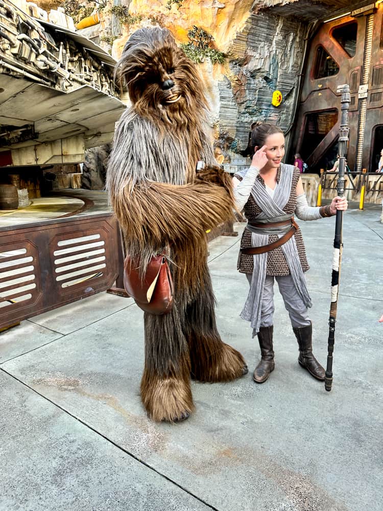 Chewbacca and Rey in Galaxy's Edge