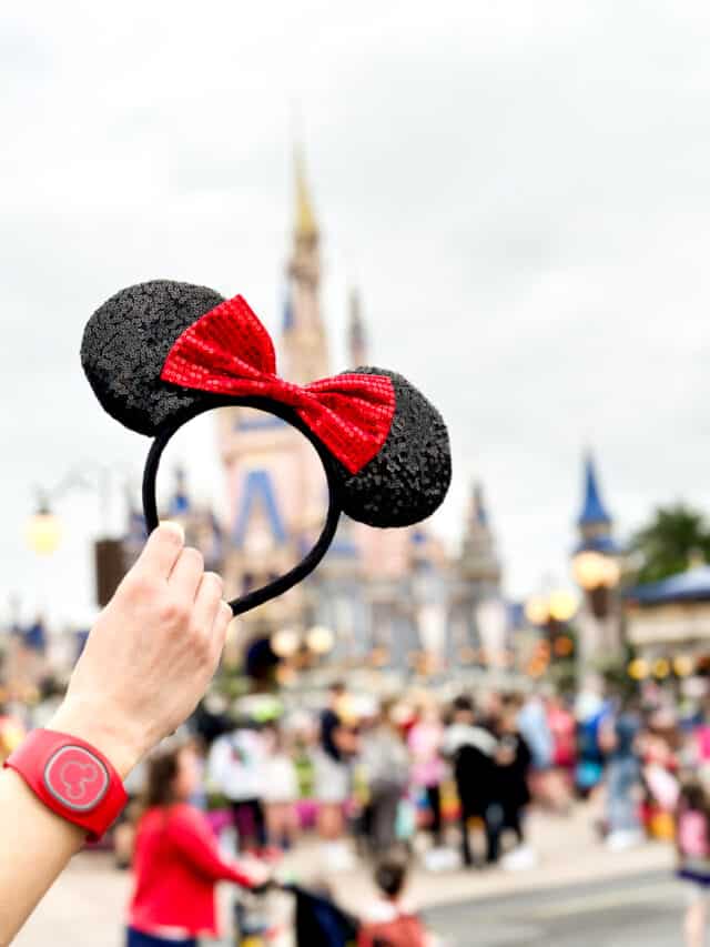 mickey ears at magic kingdom