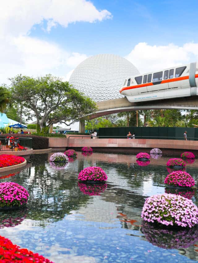 monorail and epcot ball