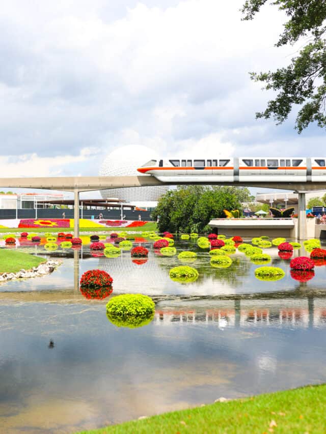 The 3 Disney Monorail Routes You Need to Know