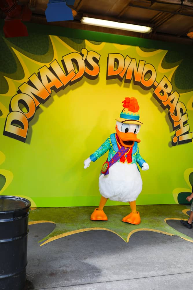 Donald Duck in Disney's Animal Kingdom 