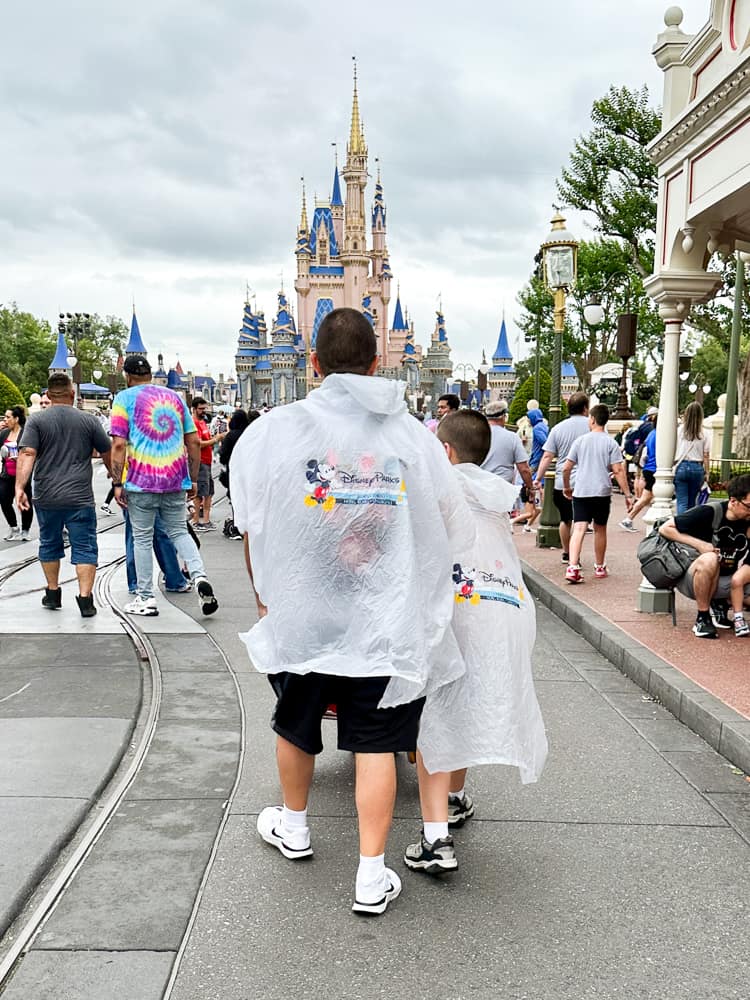 Disney rain ponchos magic kingdom