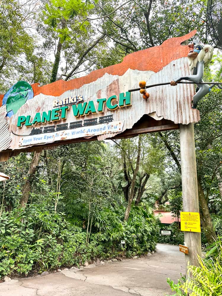 Rafiki's planet watch