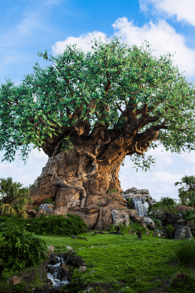 tree of life at Disney's animal kingdom