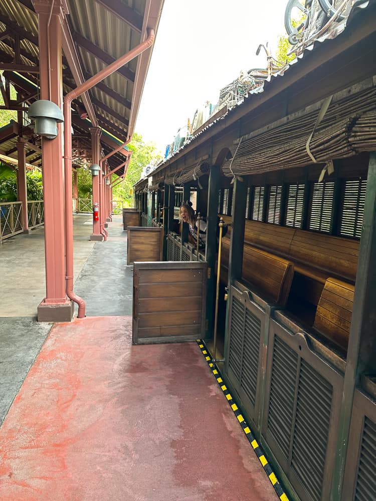 wildlife express train at Disney's Animal Kingdom