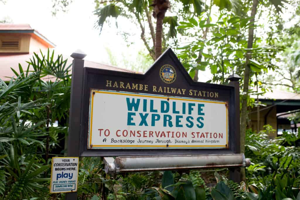 Wildlife express